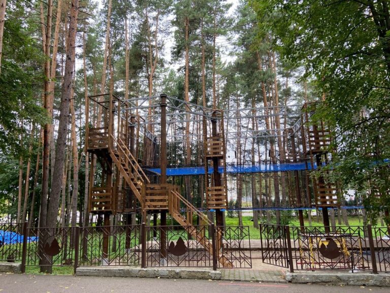 Проект «Парк «Ёлочки»» — фото 2
