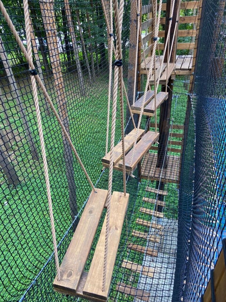Проект «Парк «Ёлочки»» — фото 17