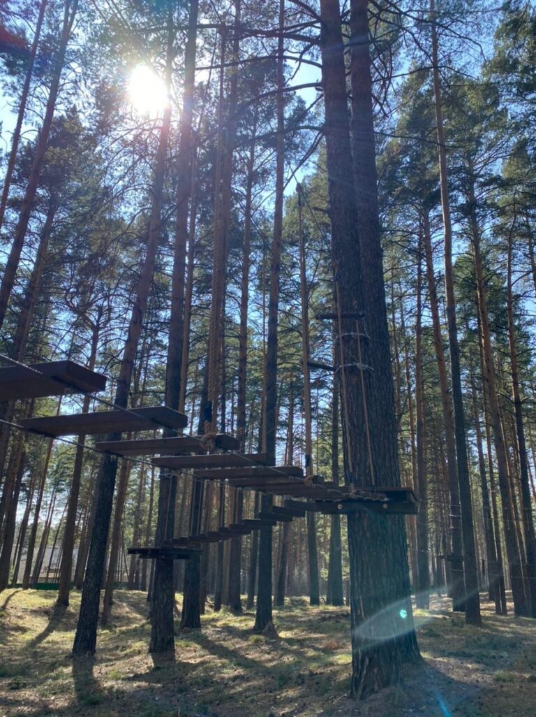 Проект «Зона отдыха ГАУ ДО НСО «ОЦРТДиЮ»» — фото 7
