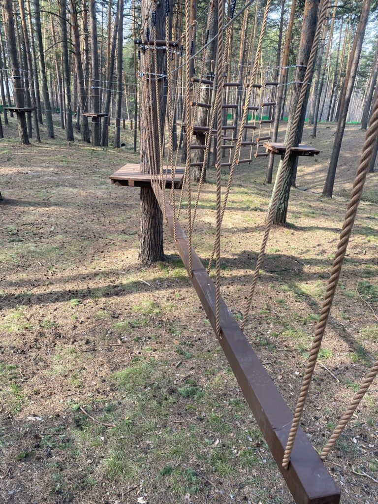 Проект «Зона отдыха ГАУ ДО НСО «ОЦРТДиЮ»» — фото 20