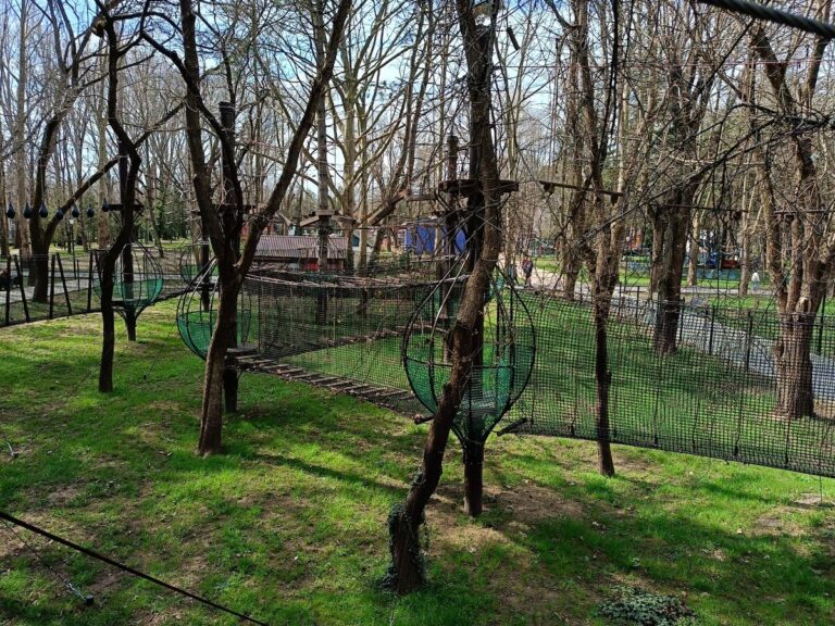 Проект «Детский парк» — фото 1