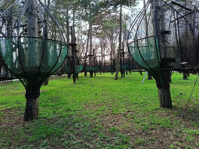 Проект «Детский парк» — фото 7